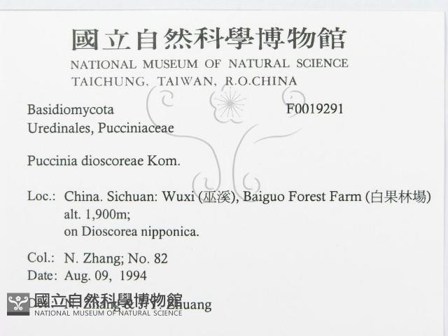 登錄號:F0019291藏品圖，第3張