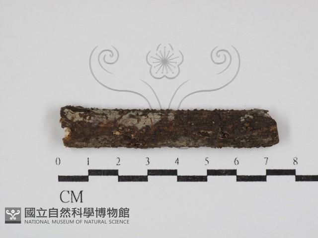 登錄號:F0030891藏品圖，第1張