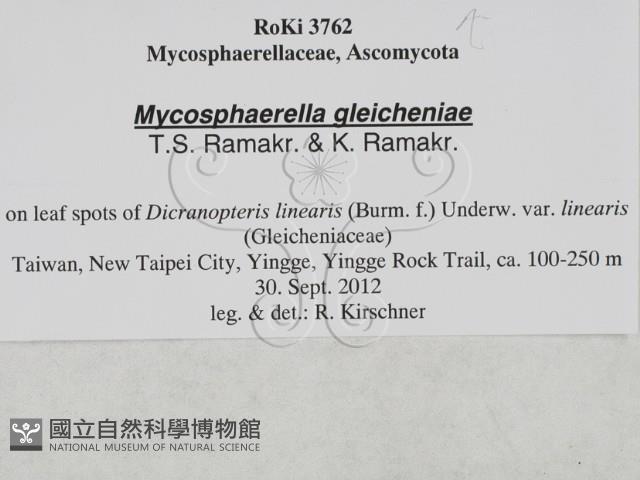 登錄號:F0027891藏品圖，第3張