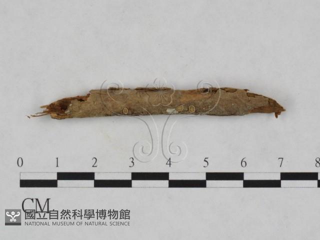 登錄號:F0007891藏品圖，第1張