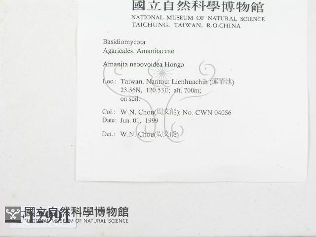 登錄號:F0012991藏品圖，第3張