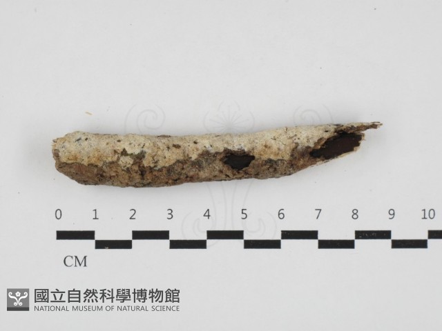 登錄號:F0032991藏品圖，第1張