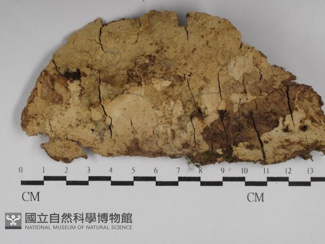 登錄號:F0029991藏品圖，第1張