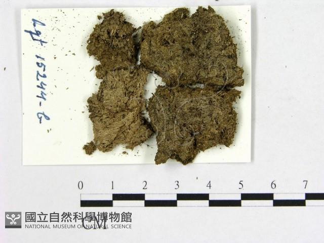 登錄號:F0004691藏品圖，第1張