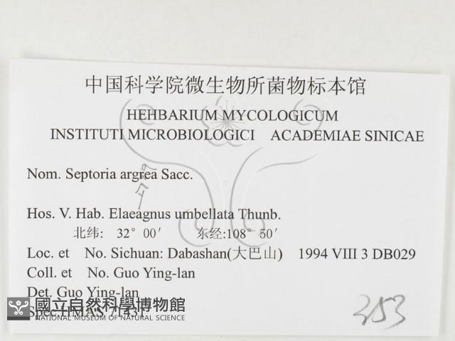 登錄號:F0026491藏品圖，第3張