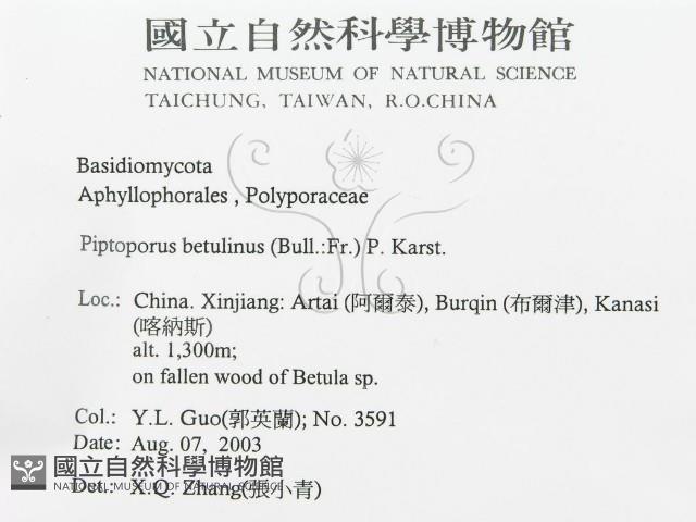 登錄號:F0016491藏品圖，第3張