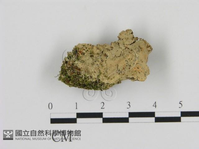 登錄號:F0013491藏品圖，第1張