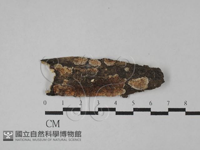 登錄號:F0028791藏品圖，第1張