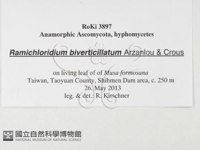 登錄號:F0026791藏品圖，第3張