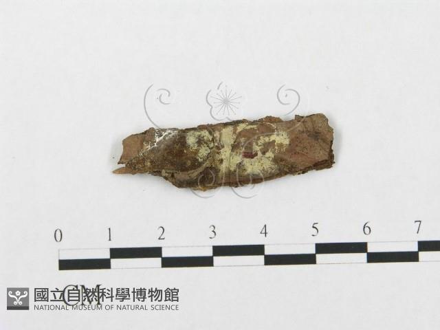 登錄號:F0017791藏品圖，第1張