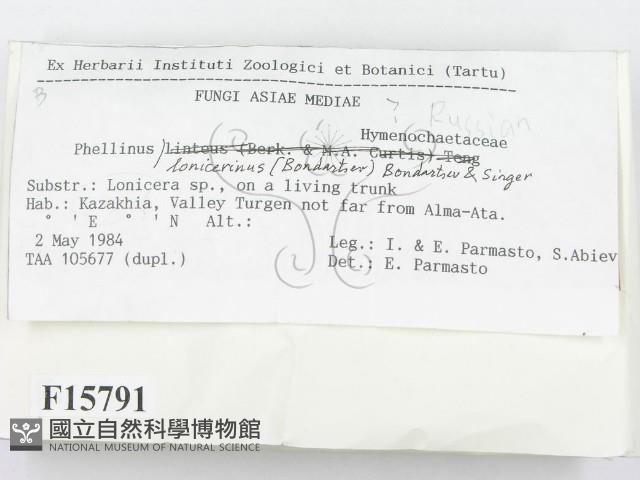 登錄號:F0015791藏品圖，第3張