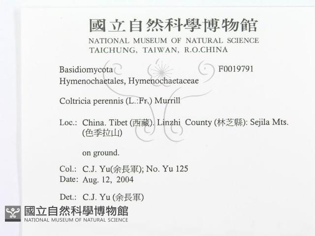 登錄號:F0019791藏品圖，第3張
