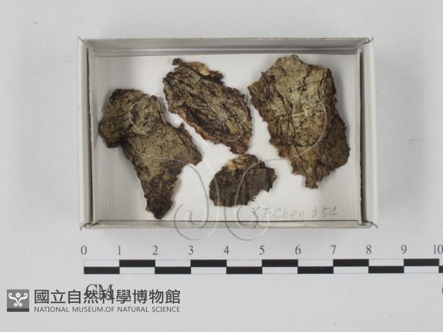 登錄號:F0018591藏品圖，第1張