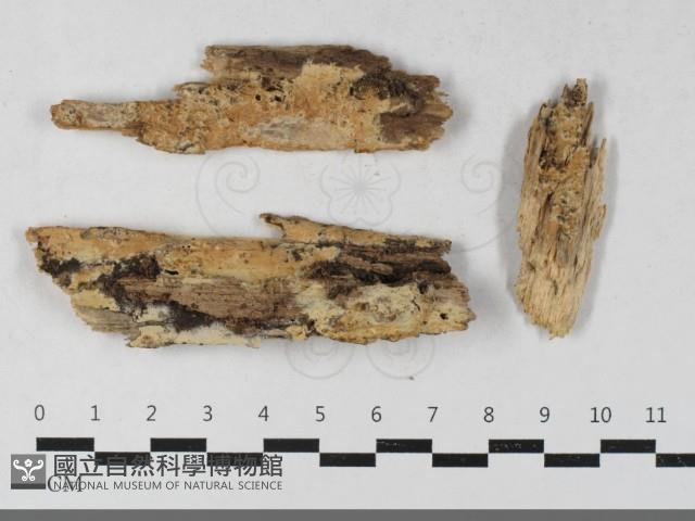 登錄號:F0033591藏品圖，第1張