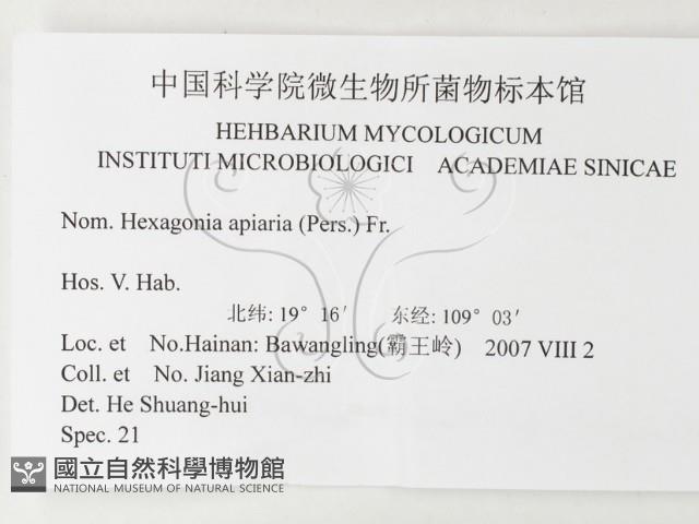登錄號:F0026191藏品圖，第3張