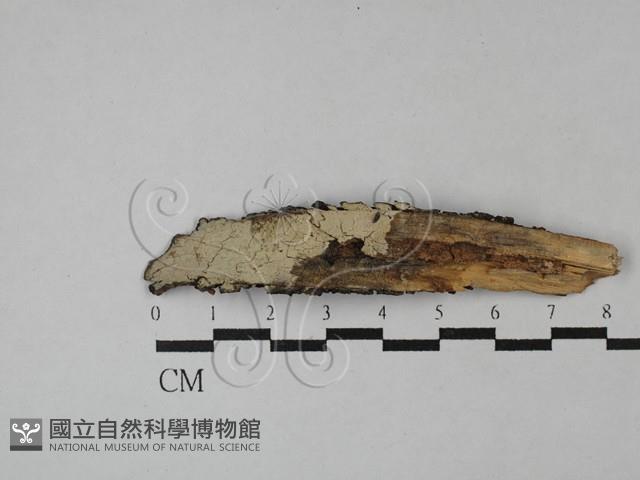 登錄號:F0027191藏品圖，第1張