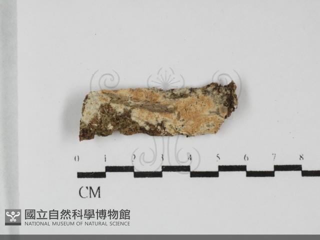 登錄號:F0032091藏品圖，第1張