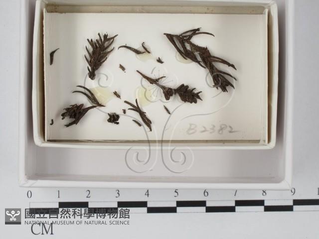 登錄號:F0019091藏品圖，第1張