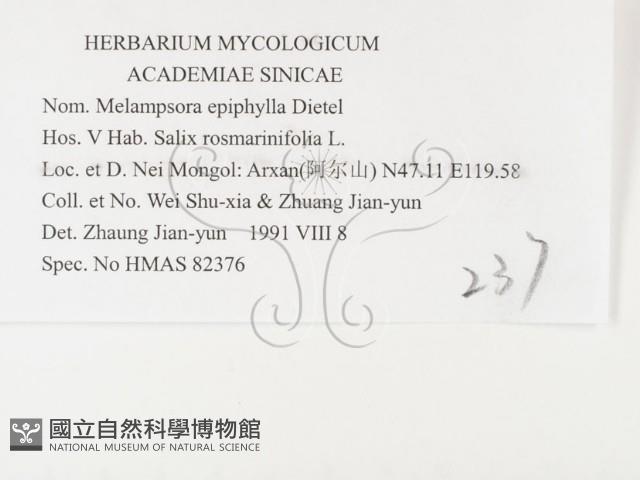 登錄號:F0026391藏品圖，第3張