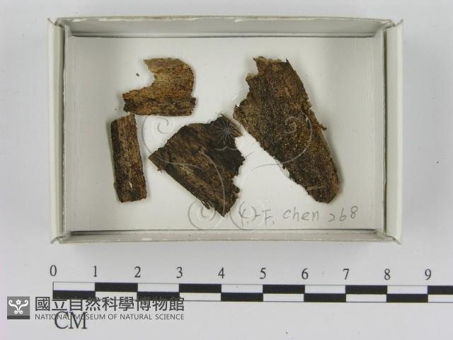 登錄號:F0021391藏品圖，第1張