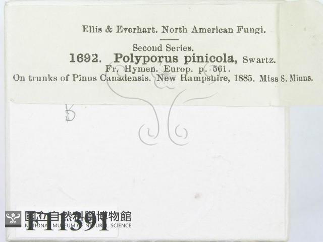 登錄號:F0011391藏品圖，第3張