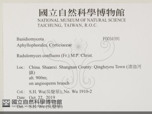 登錄號:F0034391藏品圖，第1張