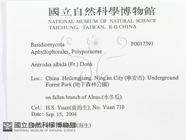 登錄號:F0017391藏品圖，第3張