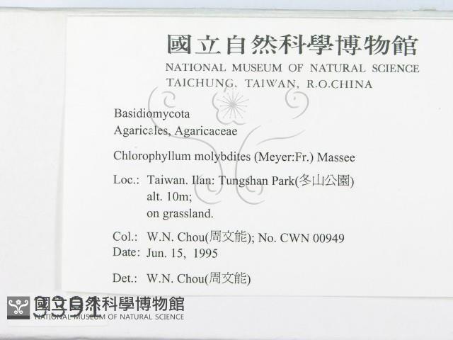 登錄號:F0003391藏品圖，第3張