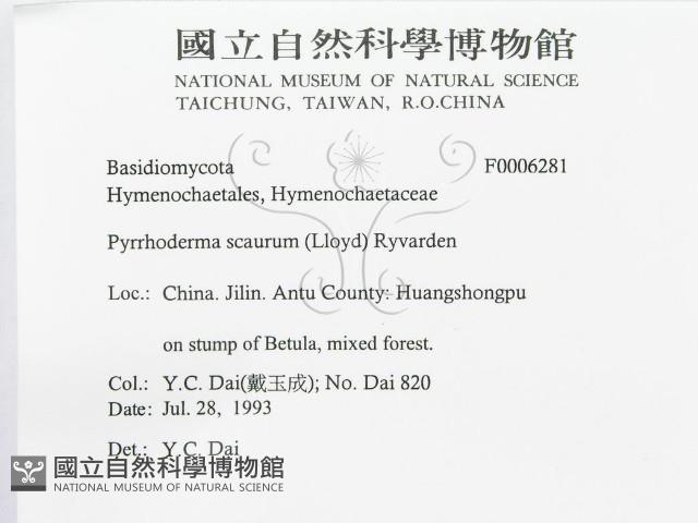 登錄號:F0006281藏品圖，第3張