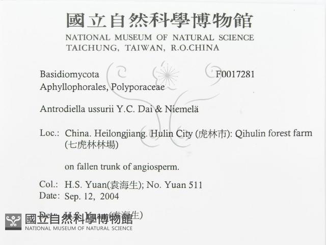 登錄號:F0017281藏品圖，第3張