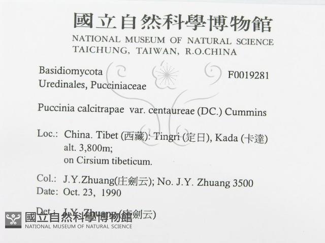 登錄號:F0019281藏品圖，第3張