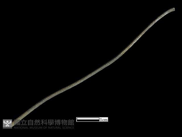 髮簪藏品圖，第1張