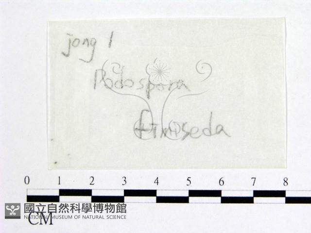 登錄號:F0016881藏品圖，第1張