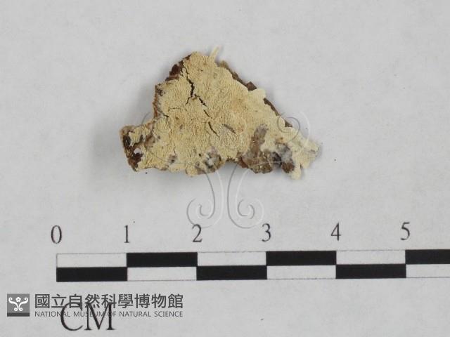 登錄號:F0024881藏品圖，第1張