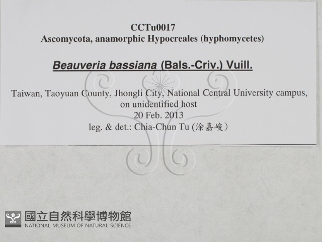 登錄號:F0027881藏品圖，第3張