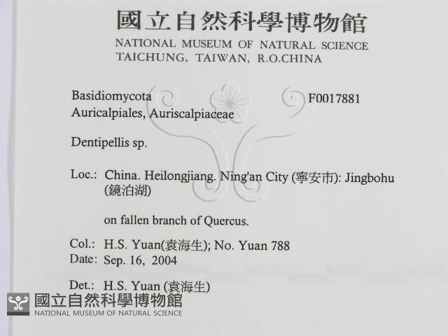登錄號:F0017881藏品圖，第3張