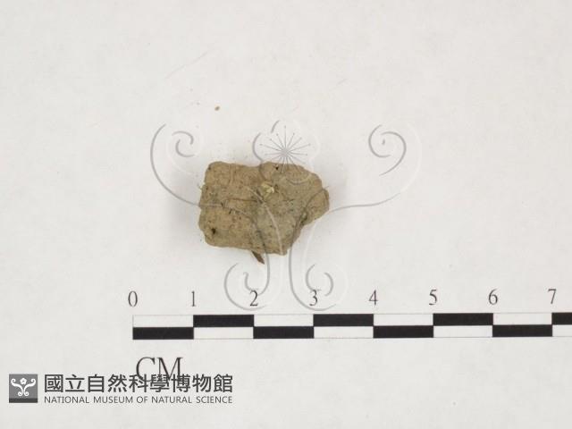 登錄號:F0013881藏品圖，第1張