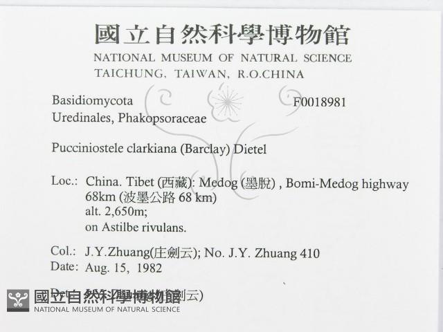 登錄號:F0018981藏品圖，第3張