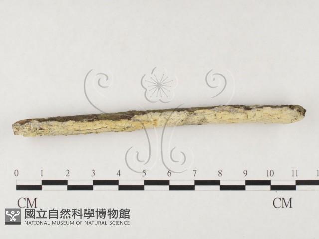 登錄號:F0026681藏品圖，第1張