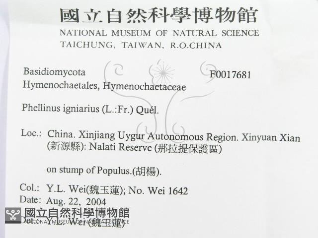 登錄號:F0017681藏品圖，第3張
