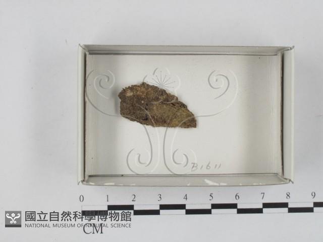 登錄號:F0018481藏品圖，第1張