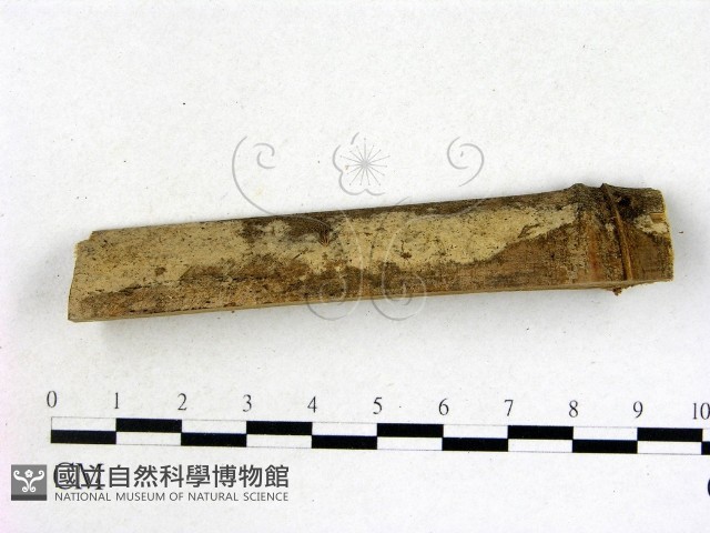 登錄號:F0004481藏品圖，第1張