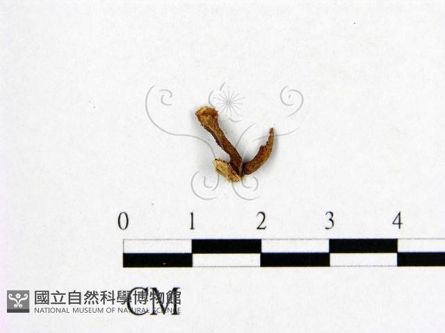 登錄號:F0008781藏品圖，第1張