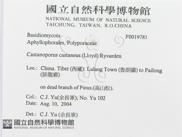 登錄號:F0019781藏品圖，第3張