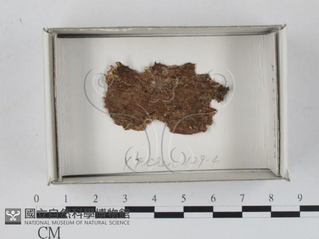 登錄號:F0018581藏品圖，第1張