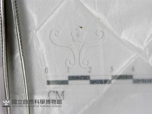 登錄號:F0002581藏品圖，第1張