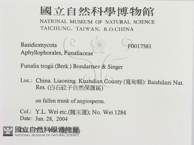 登錄號:F0017581藏品圖，第3張
