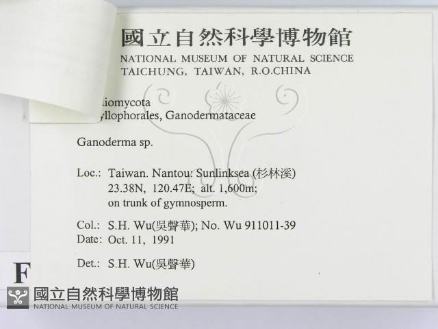 登錄號:F0015181藏品圖，第3張