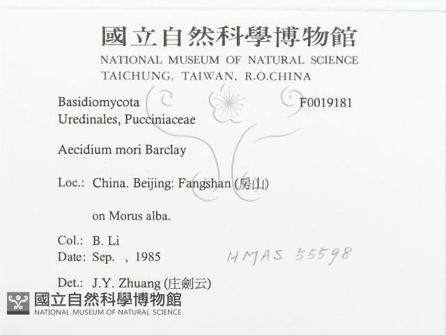 登錄號:F0019181藏品圖，第3張