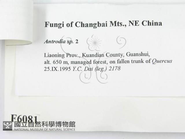 登錄號:F0006081藏品圖，第3張